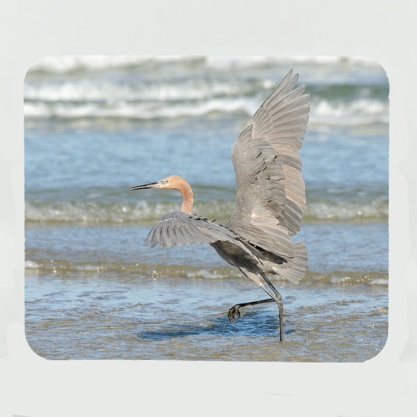 Reddish Egret Gifts