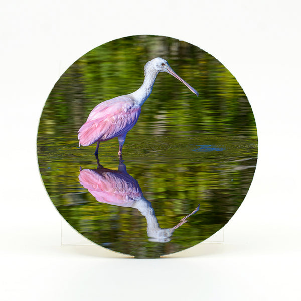 Roseate Spoonbill 7 Gifts