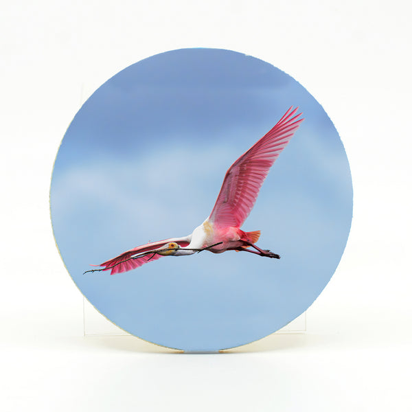 Roseate Spoonbill 8 Gifts