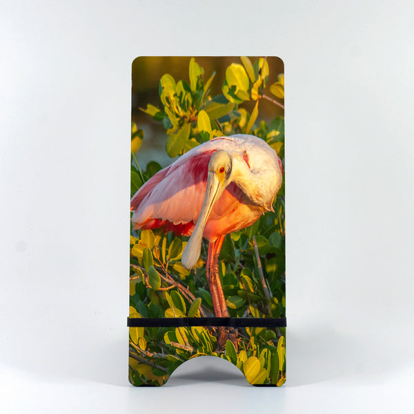 Roseate Spoonbill 5 Gifts