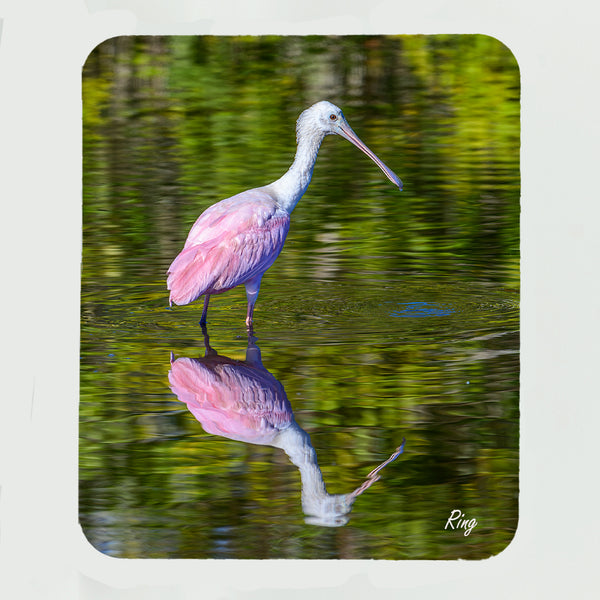 Roseate Spoonbill 7 Gifts