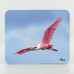 Roseate Spoonbill 8 Gifts