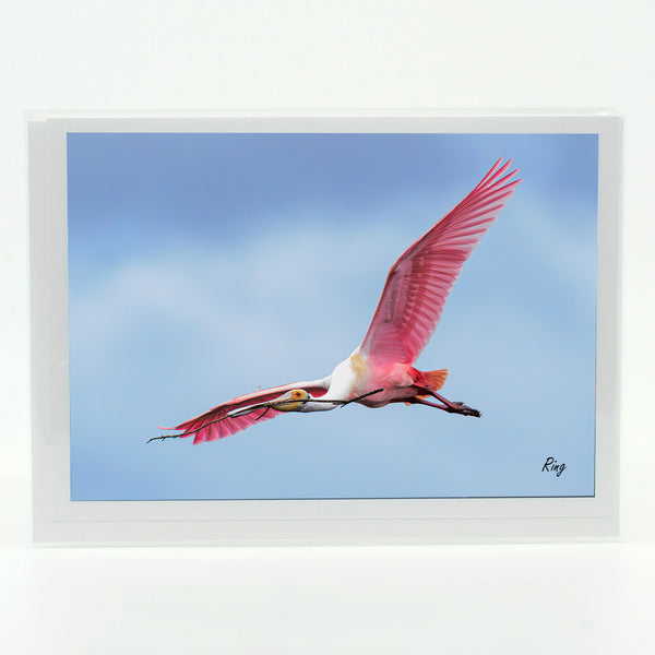 Roseate Spoonbill 8 Gifts