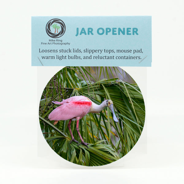 Roseate Spoonbill 9 Gifts