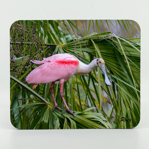 Roseate Spoonbill 9 Gifts