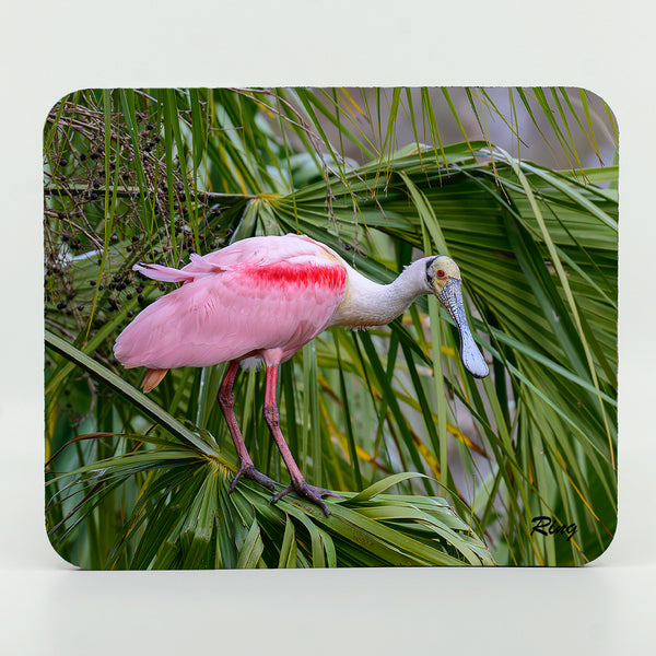 Roseate Spoonbill 9 Gifts