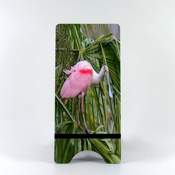 Roseate Spoonbill 9 Gifts