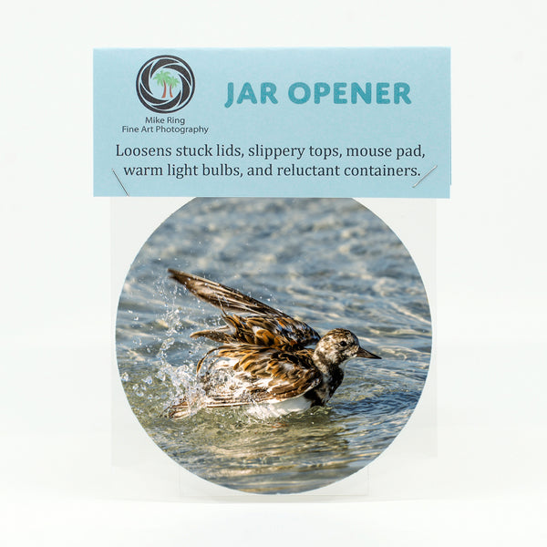 Ruddy Turnstone 3 Gifts