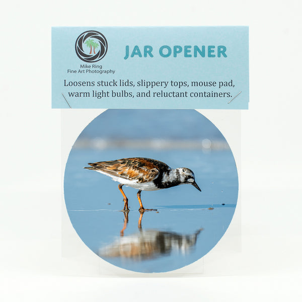 Ruddy Turnstone 4 Gifts