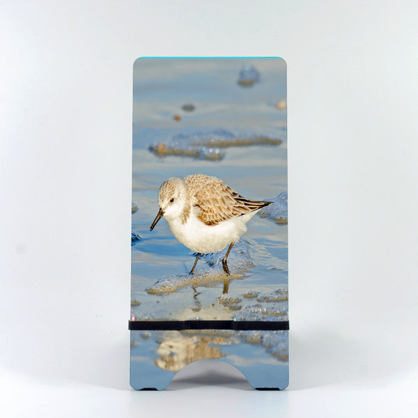 Sanderling 4 Gifts