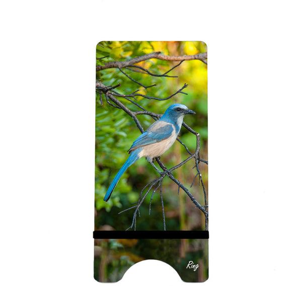 Scrub Jay Gifts