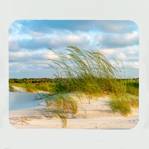 Sea Oats at Sunrise 1 Gifts