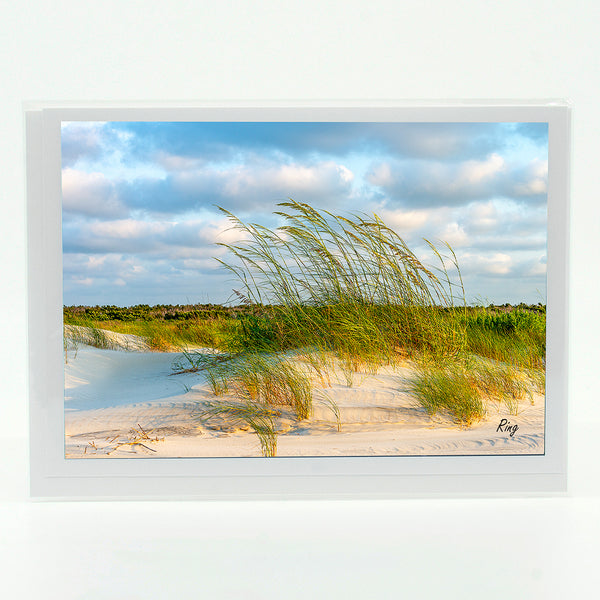 Sea Oats Sunrise 1 Gifts