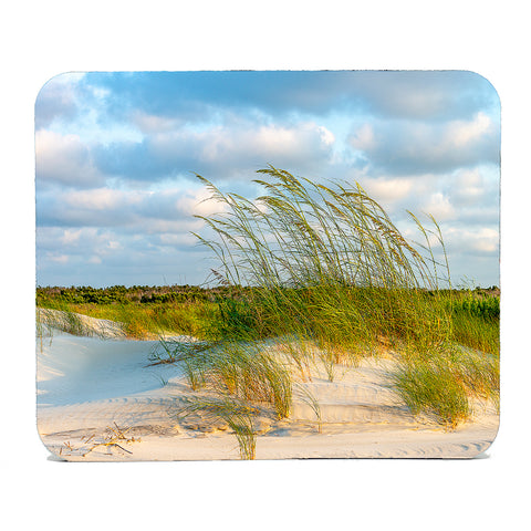 Sea Oats Sunrise 1 Gifts