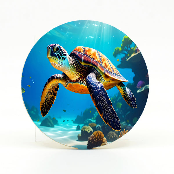 Sea Turtle