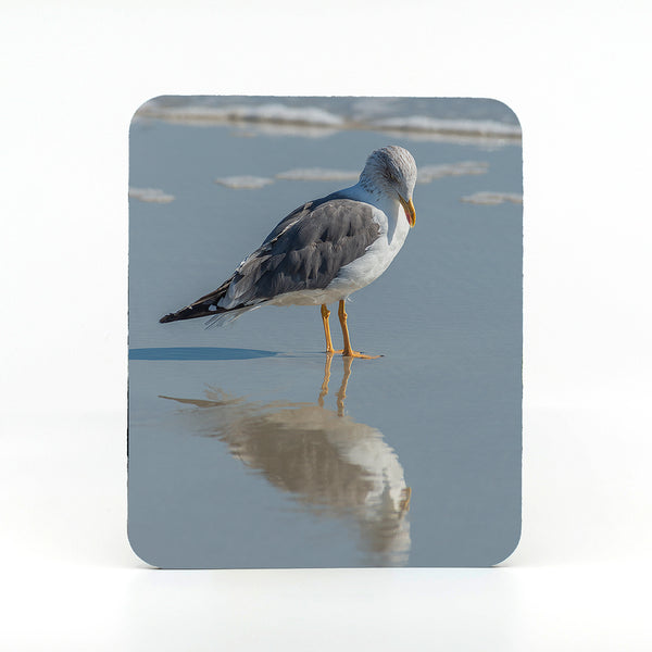 Seagull on the beach photograph on a mouse pad