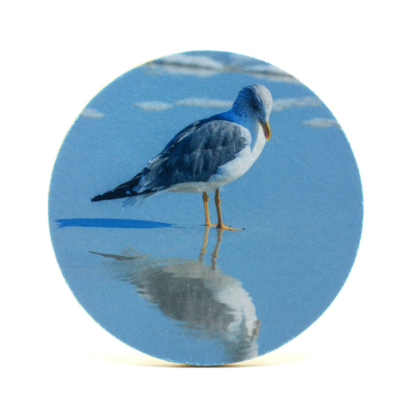Seagull on the beach photograph on a greeting card