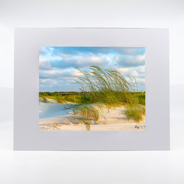 Sea Oats Sunrise 1 Gifts