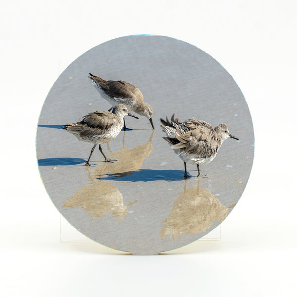 Sandpipers 1 Gifts