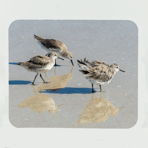 Sandpipers 1 Gifts