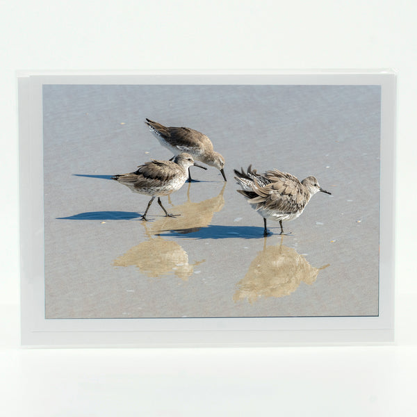 Sandpipers 1 Gifts