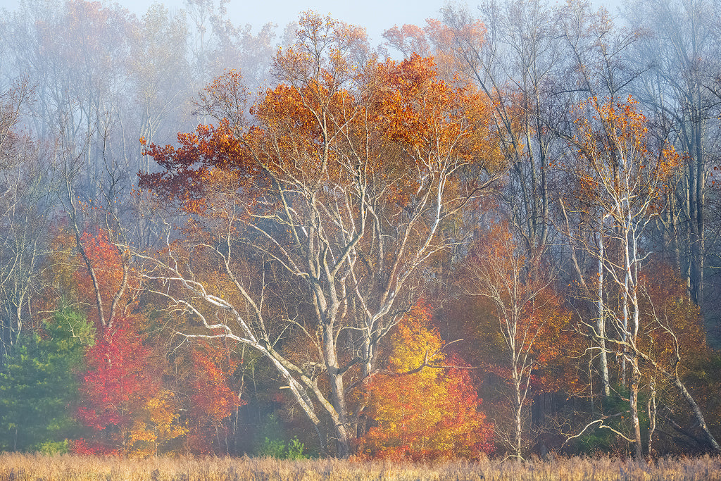 Smoky Mountains Fall 2
