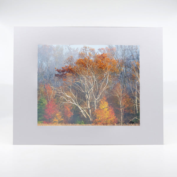 Smoky Mountains Fall 2 Gifts