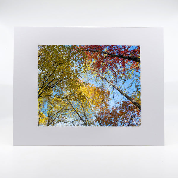 Smoky Mountains Fall 3 Gifts