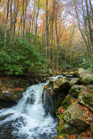 Smoky Mountains Waterfalls 2