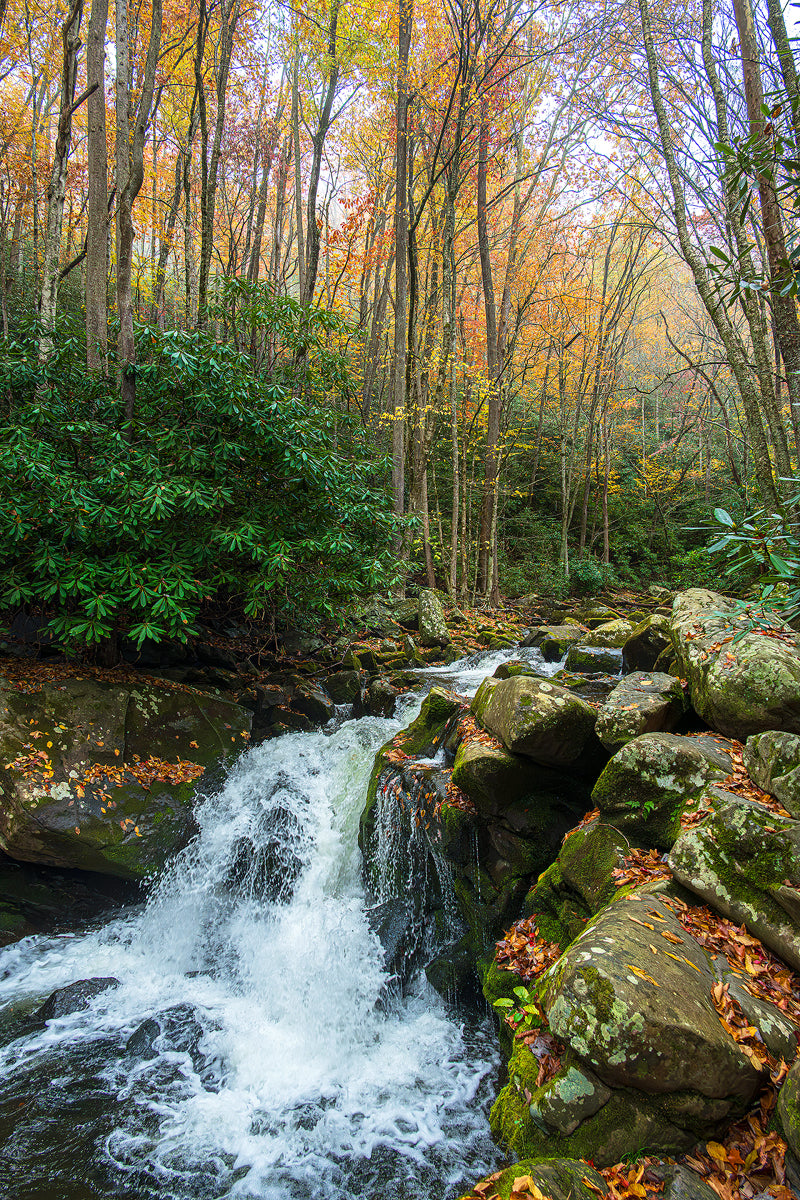 Smoky Mountains Waterfalls 2