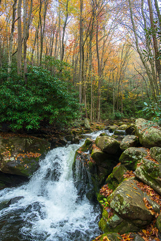Smoky Mountains Waterfalls 2