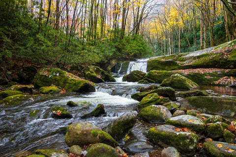 Smoky Mountains Waterfalls