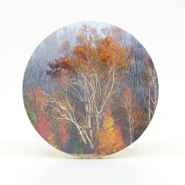 Smoky Mountains Fall 2 Gifts