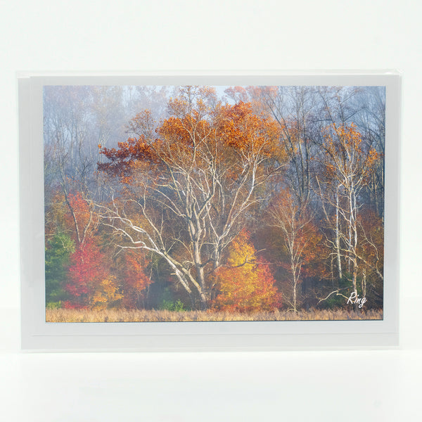 Smoky Mountains Fall 2 Gifts