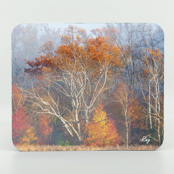 Smoky Mountains Fall 2 Gifts