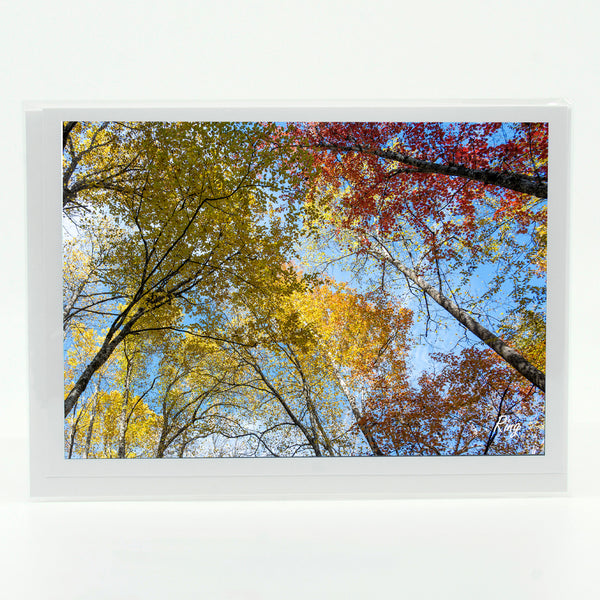 Smoky Mountains Fall 3 Gifts