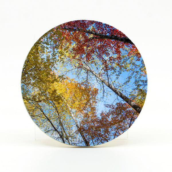 Smoky Mountains Fall 3 Gifts