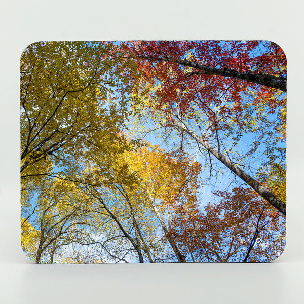 Smoky Mountains Fall 3 Gifts