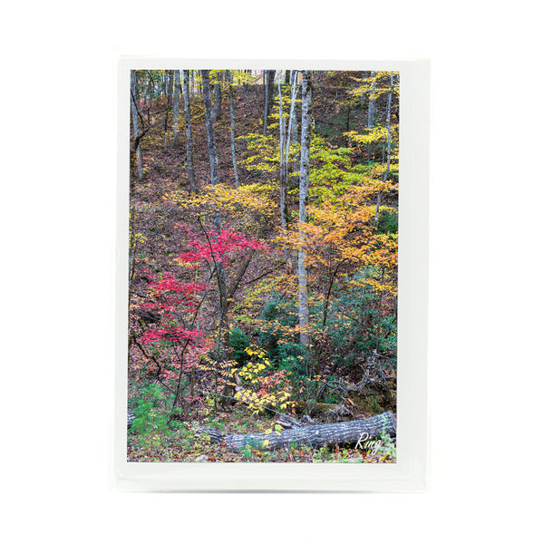 Smoky Mountains Fall Gifts