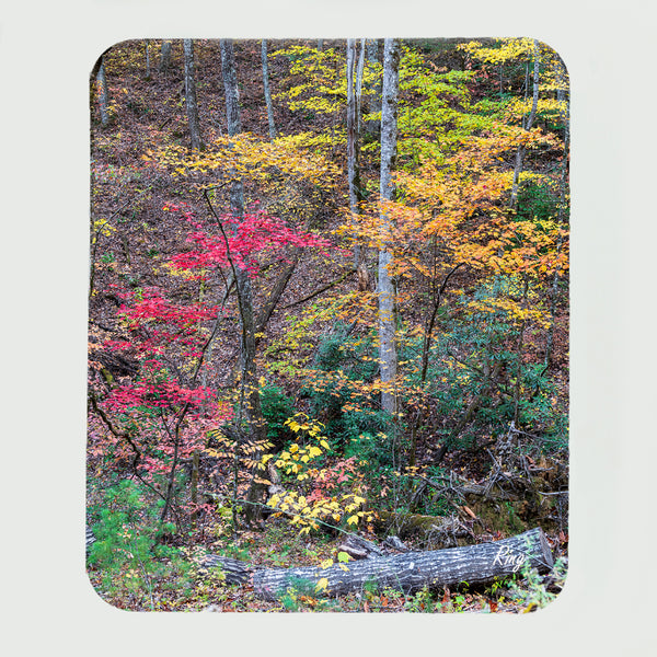 Smoky Mountains Fall Gifts