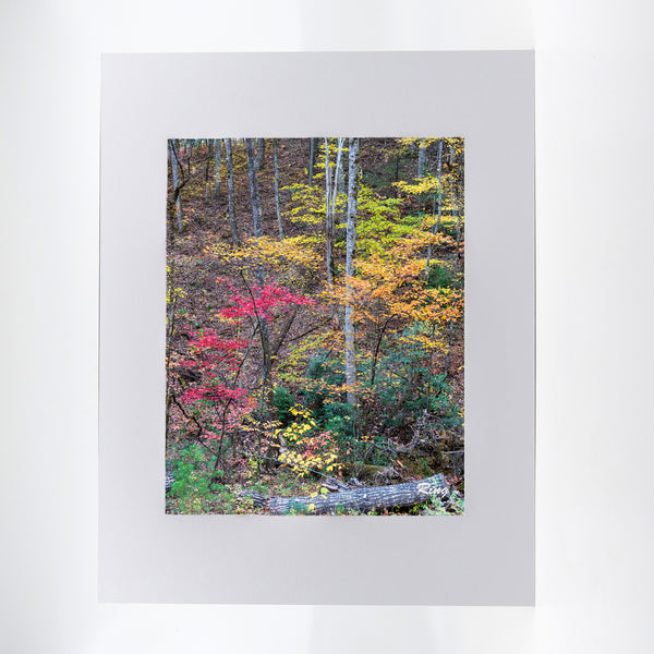 Smoky Mountains Fall Gifts