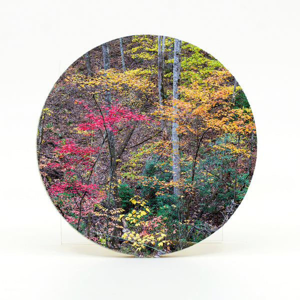 Smoky Mountains Fall Gifts