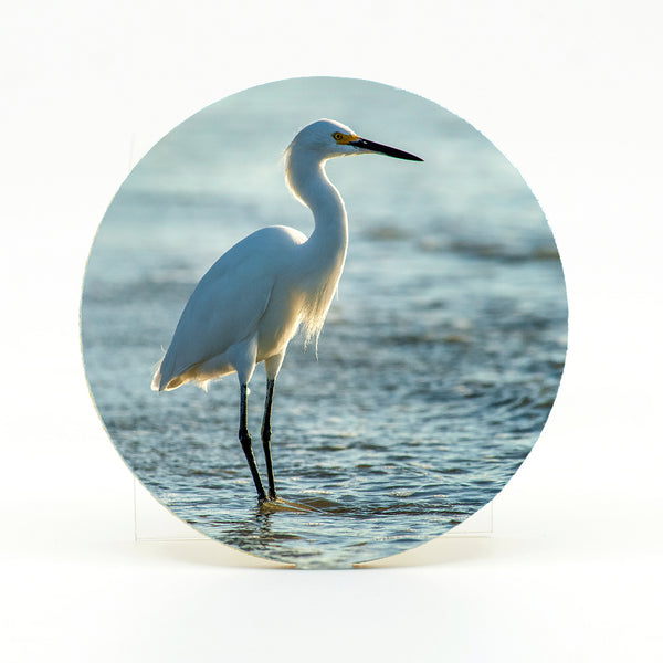 Snowy Egret 2 Gifts