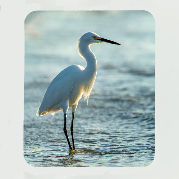 Snowy Egret 2 Gifts