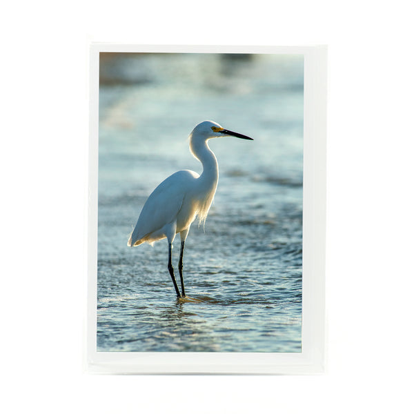 Snowy Egret 2 Gifts