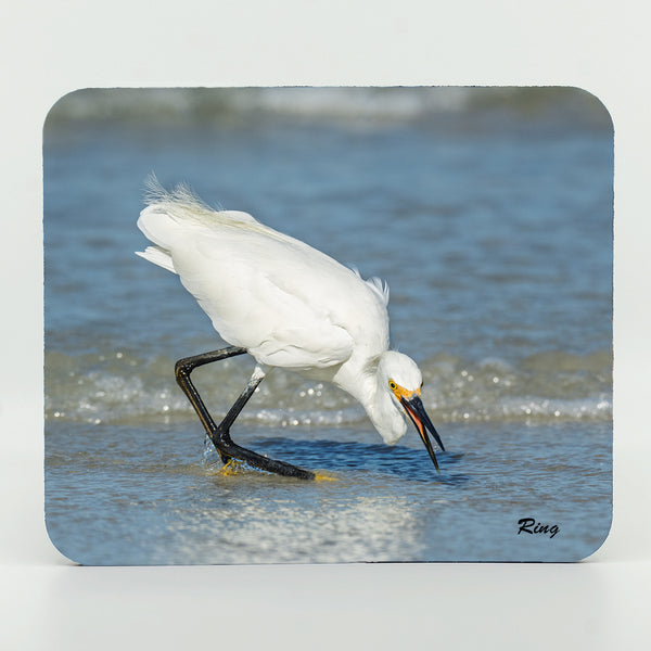 Snowy Egret 6 Gifts