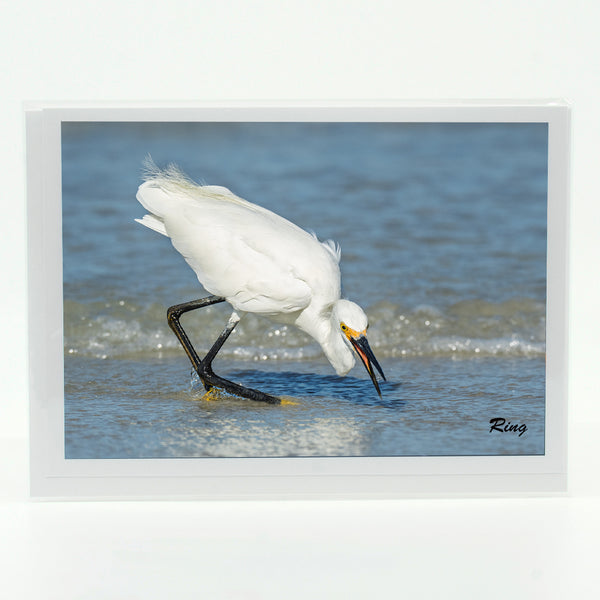 Snowy Egret 6 Gifts