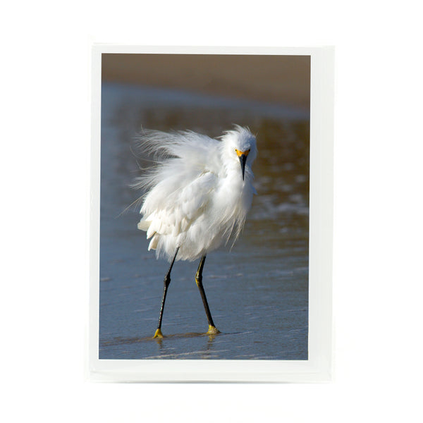 Snowy Egret Gifts