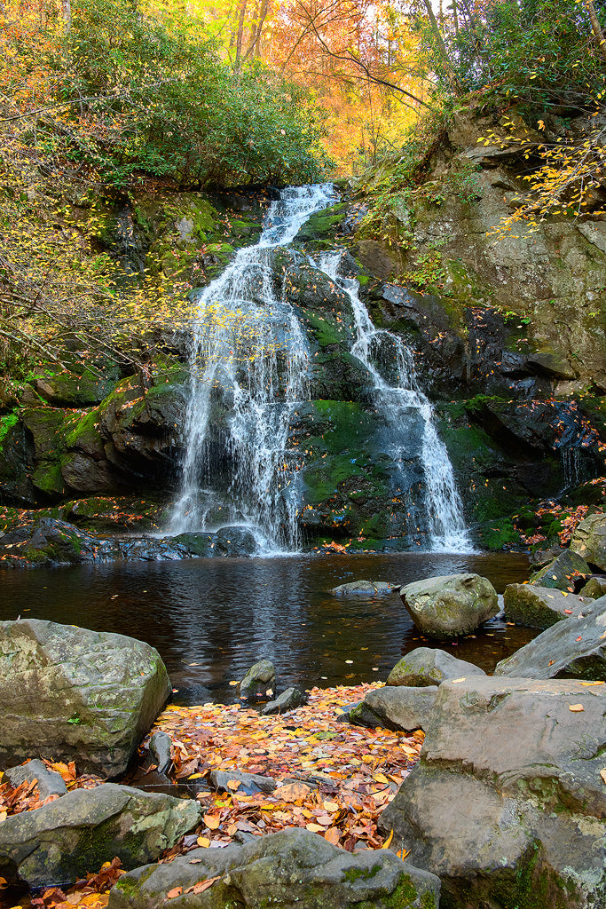 Spruce Flats Falls 2
