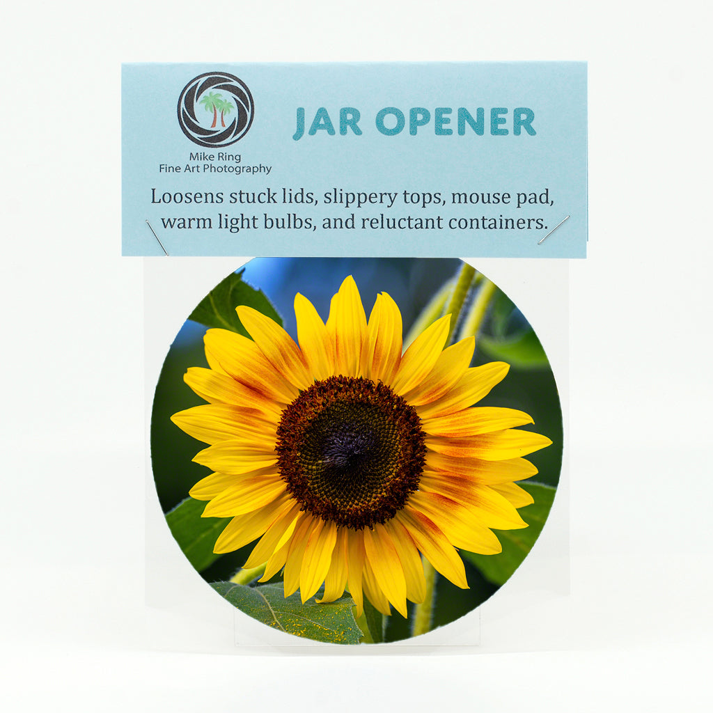 Sunflowers Gifts